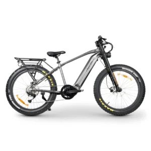 Mountain Bike Challenger MKII High Performance Titanium Silver Color