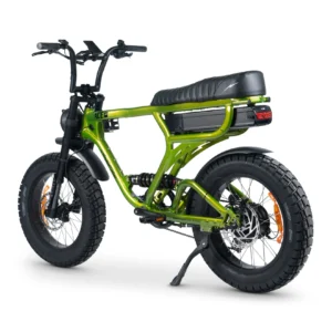 Series 4 ACE-X PRO Dual Suspension Electric Bike Jungle Green Color